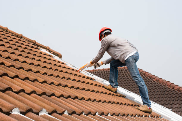 Best Roof Coating and Sealing  in Cordova, AK