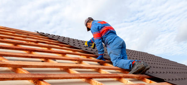 Best Sheet Metal Roofing  in Cordova, AK