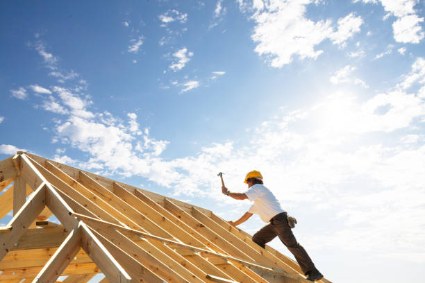 Best Asphalt Shingle Roofing  in Cordova, AK